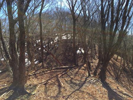 馬駈ノ辻への登り