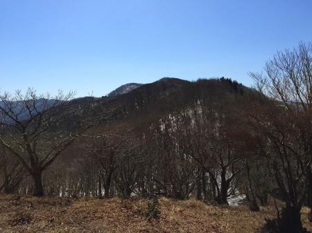 馬駈ノ辻から国見山を望む。何ピーク超えるのか！？