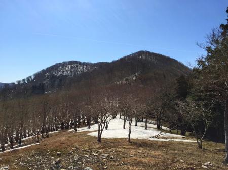 ここから国見山への登りが始まる