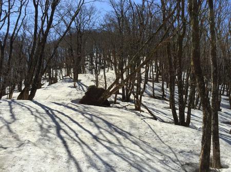 ここはたっぷり雪が残っていた。あまりハマらなかったが、やっぱ歩きにくかったしちょいしんどかった