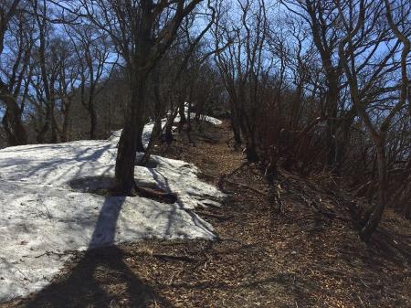 国見山のほうがしんどいと思いきや、この水無山の登りのほうがしんどく感じた