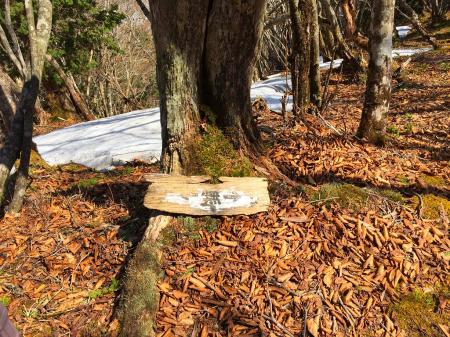 水無山(1414m)に到着。もはやひどいプレートで何書いてるかわからなかった