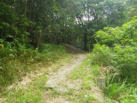 ここから登山道がはじまるけど、また階段だらけのコースじゃないのか心配だった