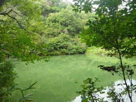 右側に池があったんだけどここはザリガニがいそうな感じがする。昔はこういう池でザリガニをとりにいってたのを思い出した
