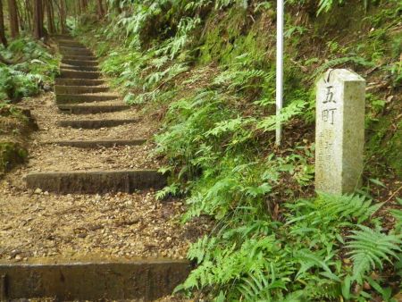 丁石があって５丁となってるけど、ここは参道なのかな！？それにしても何丁まで続くんだろうか！？