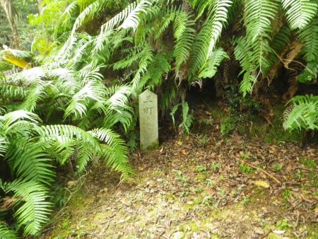 登っていくと３丁になっていた。こっちは減っていくんだね。それだと１丁まであと少しだと思う