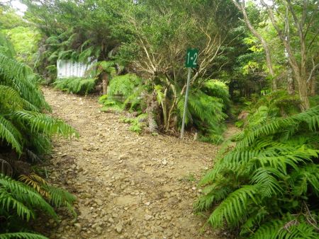 ここで分岐があるけど、当然左の道が正解。右にいくと馬場跡というところに行くらしい
