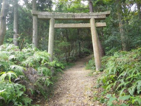鳥居があった。こっちのルートは参道になってるみたいで、高御位山の参道と同じようなルートだった