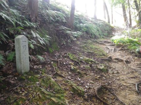 ここで一丁まで登ってきた。山頂はすぐ近くにあるみたいだけど人の声がしていた