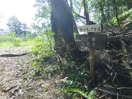 下山は西ハイキングコースを進んで永楽ゆめの森公園駐車場を目指す