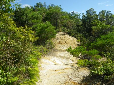 アルペンムードを楽しむ登山道になってるけど、暑いのがやはり厳しい