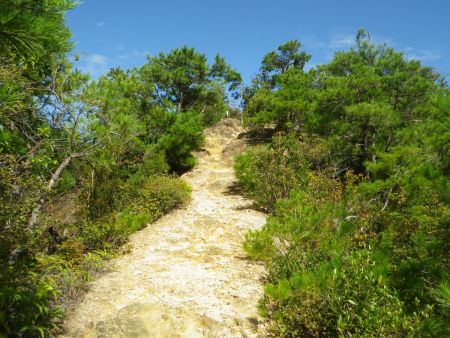 続いて岩場になってる登りになるけど、樹林帯を抜けると暑いんだよね。軽いアップダウンなんだけど連続すると疲れてくる