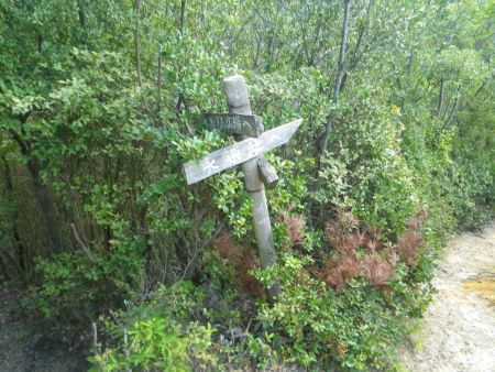 ここで分岐。永楽ダム広場のほうに下っていくのが正解