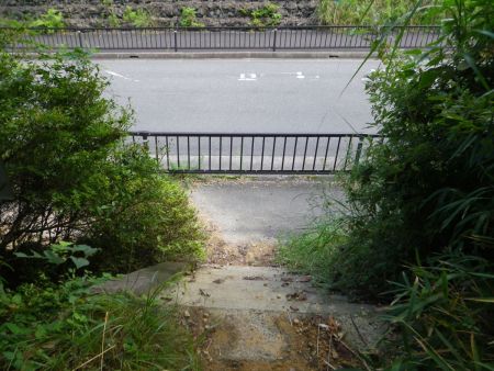 道路まで下ってきた。永楽ゆめの森公園駐車場はこのすぐ左側なんだよね