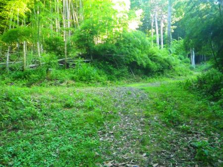 ここで分岐だけど地図からしても右に登っていく