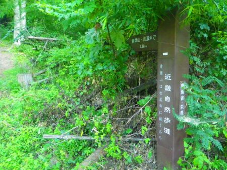 ここも分岐で青葉山山頂まで1.8kmとなっている。この山頂は西峰なのか東峰なのかわからない