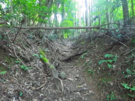 なだらかな登りが続いていくけど地図をみるとこの先に急登が待っている