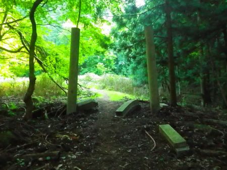 これは鳥居が壊れたあとなのだろうか。こういうのは初めてみたけど鳥居って組み立て式なのかな！？