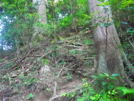 ここから急登がはじまる。暑さはないけどスローペースで登っていくようにする