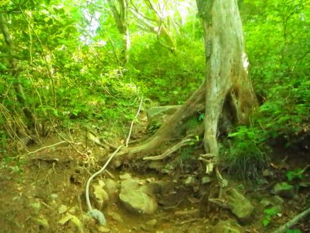 再びロープ場だけど、ほとんどロープは使ってないんだよね