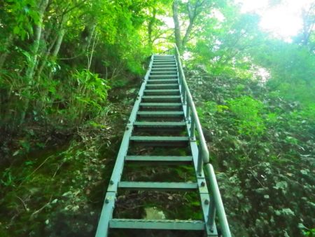 階段がでてきた。この階段がでてきたらもうすぐ尾根に到着する
