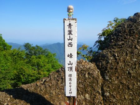 せっかくなので青葉山西峰で雪村あおいちゃんを撮影しておいた