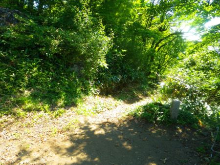 さて、青葉山山頂ともいうべき東峰へ向かう。ここからは尾根道が続く