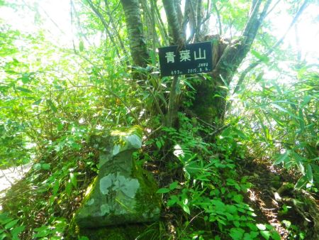 青葉山東峰(693m)に到着。本当の山頂ともいうべきところはただ看板があるだけでなんもなかった
