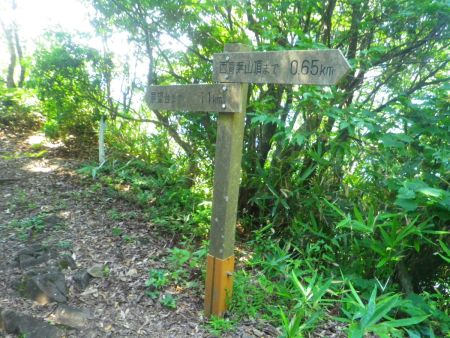 ここから展望台のほうへ下っていく。展望台まで1.1kmだけどひたすら下りなのですぐかも