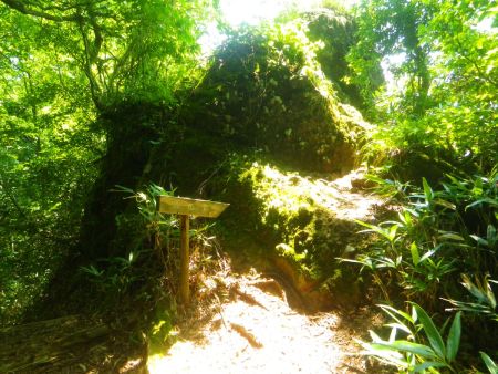 ここで馬の背というところがあったので立ち寄ってみることにした