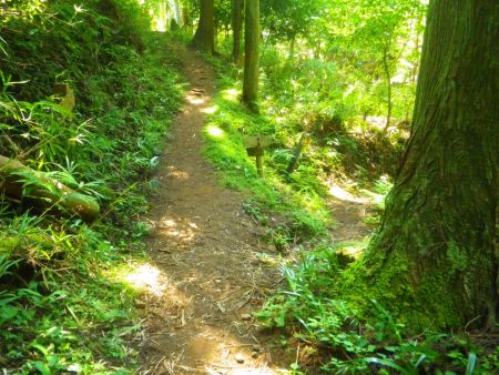 ここが高野分岐で高野登山口に下るので右に下りていく