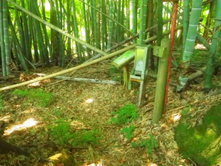 高野登山口まで下ってきた。こっちから登ったほうがよかったかも