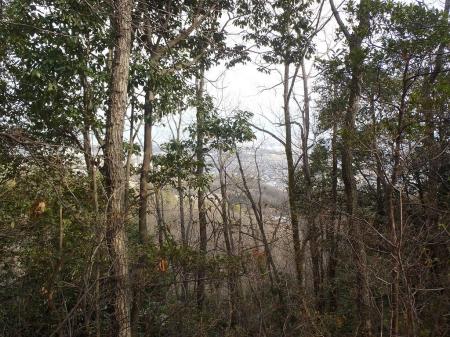 樹林の間から大阪北部の街が見える