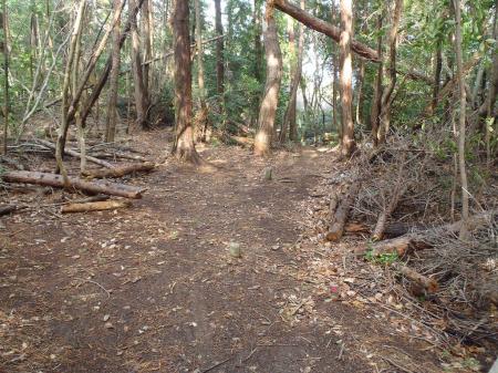 ピークには境界杭石らしきものはある