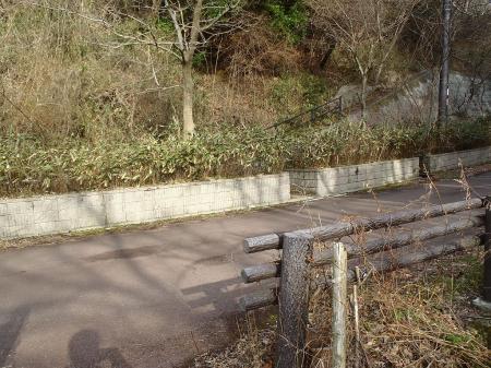 舗装道にでる。続きはこの右の柵のところをあがって左でも入れるが、ちょい急登かつわかりにくかった。わかりやすいのは左（次の画像を参照）