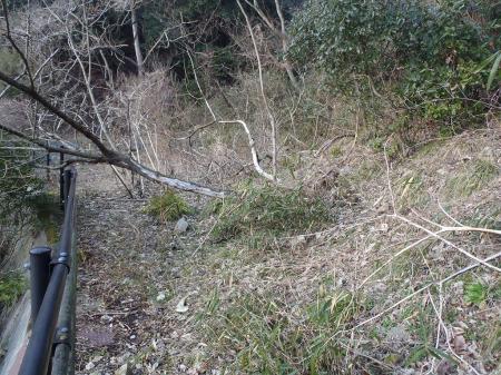 この付近の右手を見てみると・・・