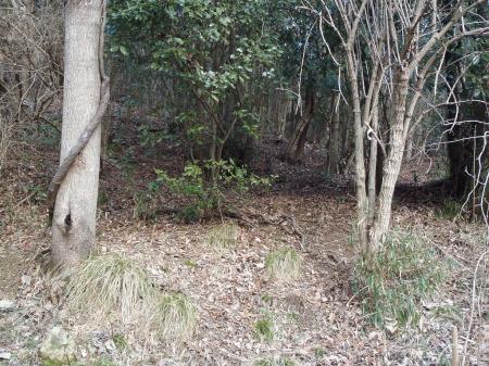 テープが巻いてありここより尾根にあがる