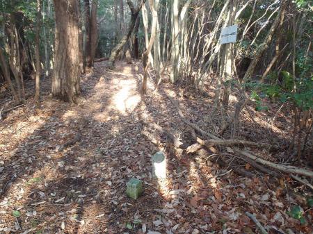 ここでちゃんとした！？道標がでてくる