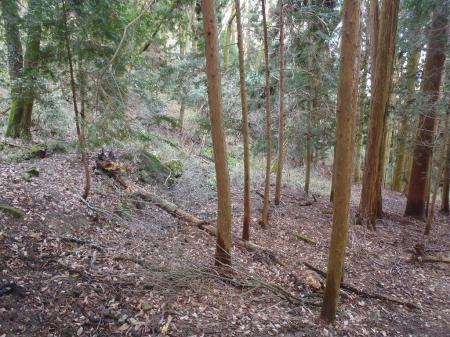 ちなみに泉原方面への下りを見てみるとかなり荒れた感じになっていた