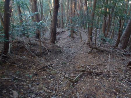 荒れた下りになるがとりあえず道らしきものはある