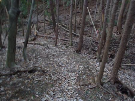 ここで四つ辻のようなところに出る。今回は府道4号線にでたいので左へいく。まっすぐいくと向こう側の鉄塔にいくと思われる。右は泉原方面