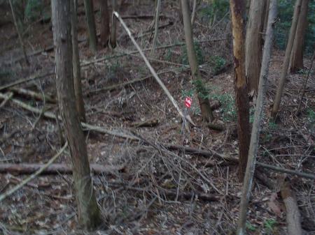 関電道の火の用心があるのでまっすぐいくとやはり向こう側の鉄塔