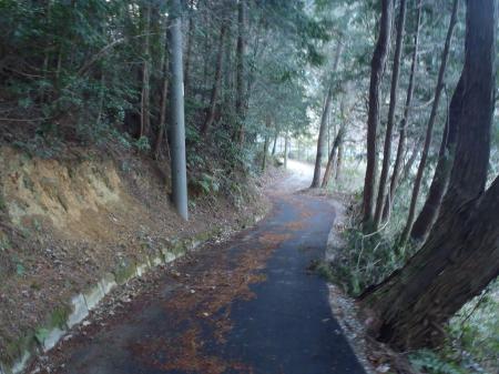 最後は舗装道になる