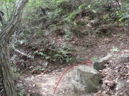 道標のない下りと登りの分岐があったがとにかく登るほうへ