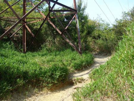 風吹岩と同じで鉄塔が多いというか、電線がつながっている