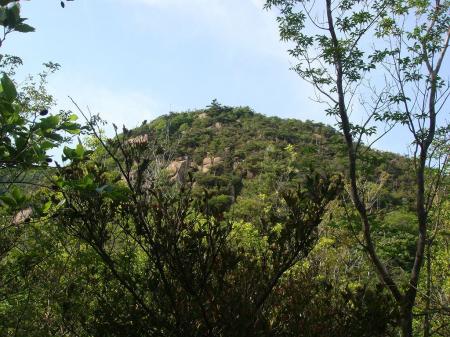 荒地山のピークは岩場がむき出し