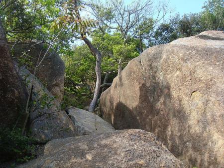 トラロープがあったがちょっと心配だった