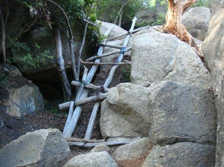 続いてこの梯子、細いが結構頑丈だった