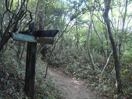 ここの分岐までくると山頂まであと少し