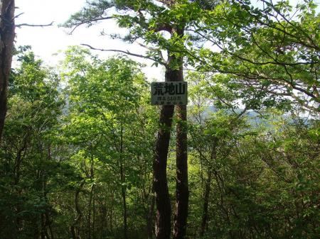 荒地山(549m)に到着